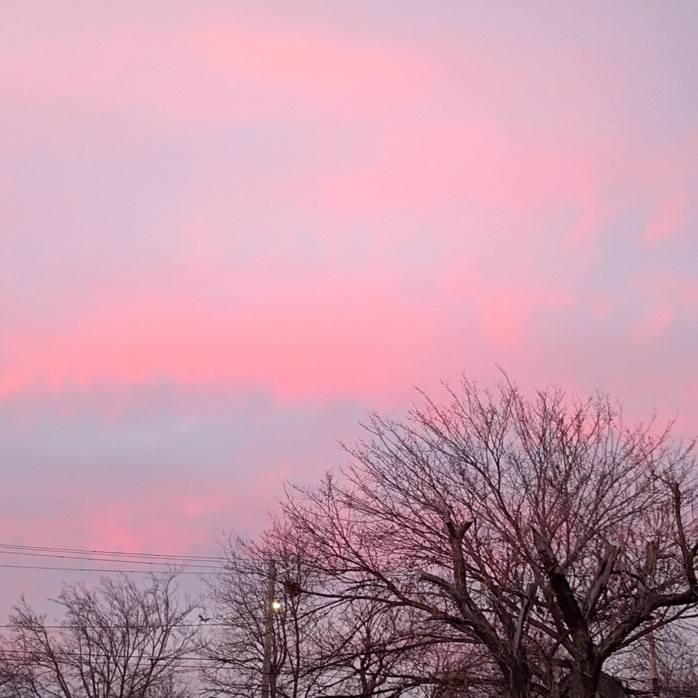 Meet your Posher, Deanna